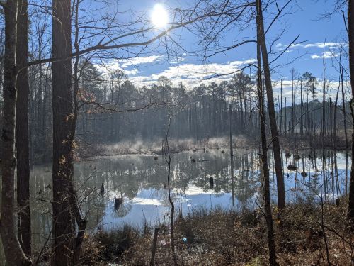 A serene pond surrounded by trees, reflecting the sky and sunlight, with mist rising from the water.