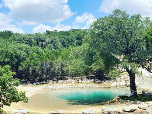 A serene pond surrounded by lush greenery and a large tree under a blue sky with fluffy clouds.