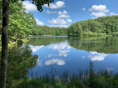 A serene lake surrounded by lush greenery, reflecting blue skies and fluffy clouds.