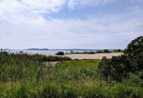 A serene beach scene with sandy shores, green grass, and distant hills under a partly cloudy sky.