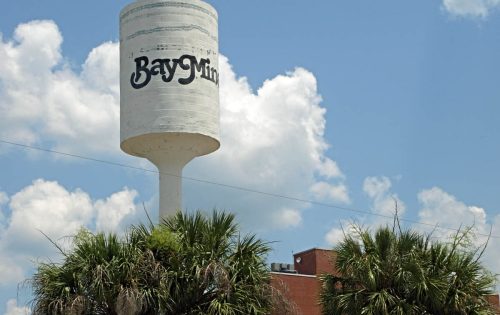 Water tower with "Bay Min" written on it, surrounded by palm trees and a blue sky with fluffy clouds.