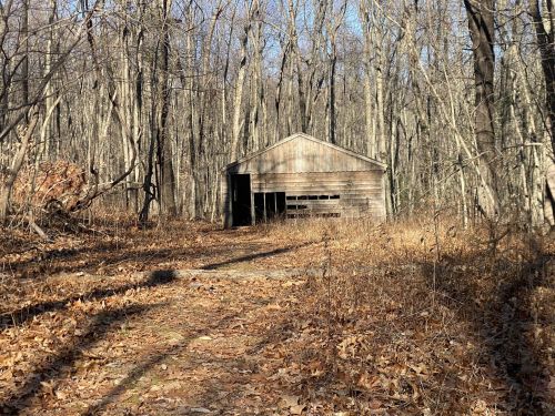 A weathered wooden shed surrounded by bare trees and fallen leaves in a quiet forest setting.