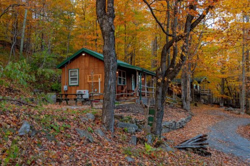 A cozy wooden cabin surrounded by vibrant autumn foliage and fallen leaves on a tranquil forest path.