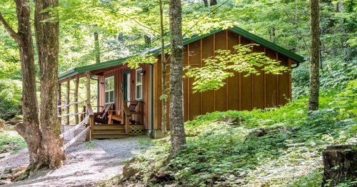 A cozy wooden cabin nestled among lush green trees in a serene forest setting.