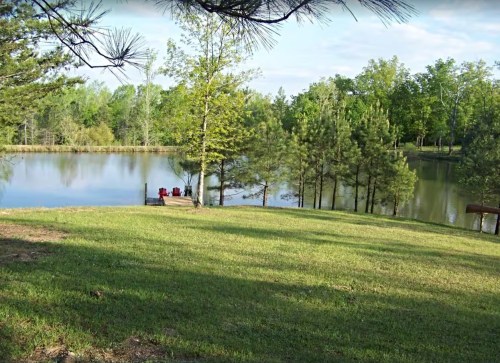 A serene lakeside scene with green grass, trees, and a calm water surface reflecting the sky.