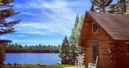 A cozy log cabin by a serene lake, surrounded by lush trees and a clear blue sky.