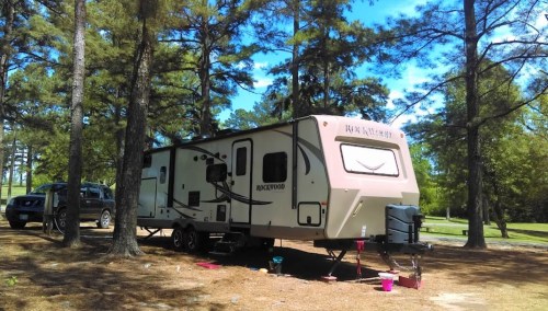 A parked RV surrounded by tall trees, with a clear blue sky in the background.