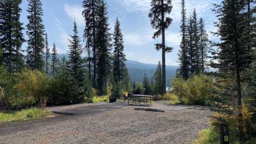 A serene campsite surrounded by tall pine trees and mountains, featuring a picnic table and gravel ground.