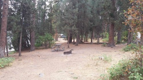 A serene forest scene with tall trees, a picnic table, and a fire pit on a sandy ground near a lake.