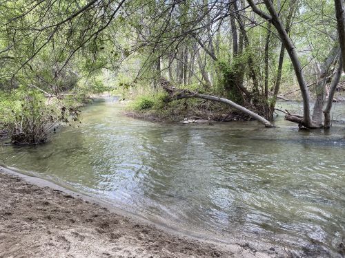 A serene river flows through a lush green landscape, surrounded by trees and sandy banks.