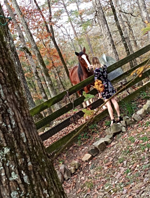 A person in a floral dress stands by a wooden fence, interacting with a brown horse in a wooded area.