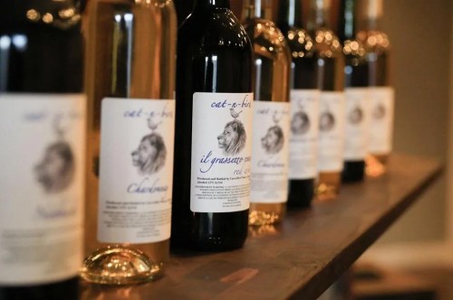 A row of wine bottles with elegant labels featuring a lion illustration and various wine types.