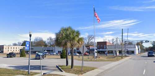 A small town street scene featuring a palm tree, American flag, and parked cars under a clear blue sky.