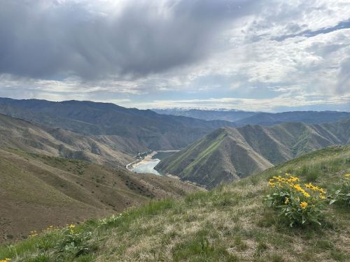 A scenic view of mountains and a winding river, with wildflowers in the foreground under a cloudy sky.