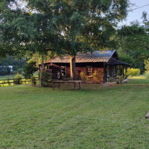 A rustic wooden cabin surrounded by greenery and trees, with a grassy area in front and a peaceful atmosphere.