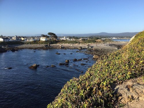 A coastal view featuring rocky shores, calm water, and distant buildings under a clear blue sky.