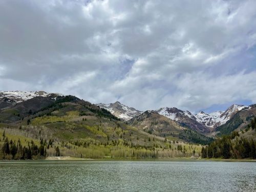 A serene lake surrounded by lush green hills and snow-capped mountains under a cloudy sky.