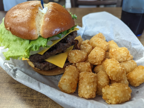 A juicy cheeseburger with lettuce and onion, served with a side of crispy tater tots on a paper-lined plate.