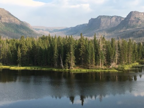 A serene landscape featuring a calm lake surrounded by lush green trees and mountains in the background.