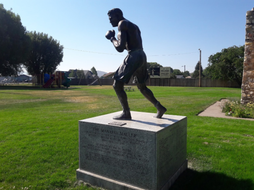 A bronze statue of a boxer stands on a stone pedestal in a grassy park, with trees and playground equipment in the background.
