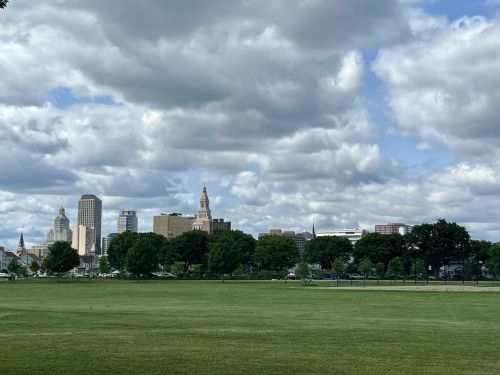 City skyline with tall buildings under a cloudy sky, viewed from a green park area.