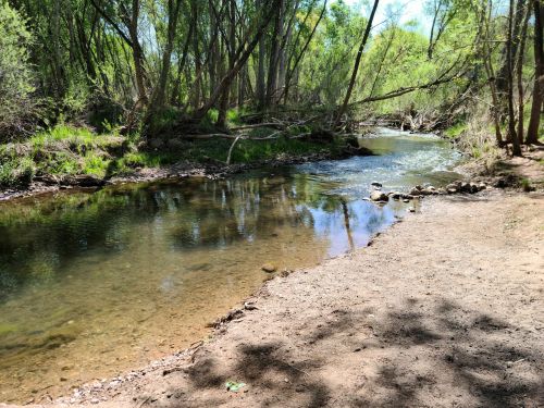 A serene riverbank scene with clear water, surrounded by lush greenery and trees under a bright blue sky.