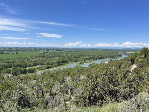 A panoramic view of a lush green landscape with a winding river under a clear blue sky and scattered clouds.