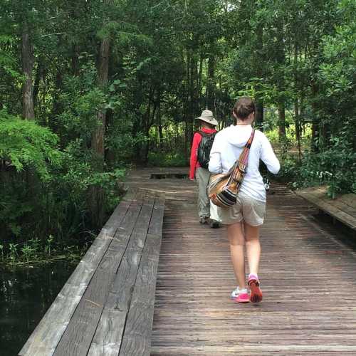 Two people walking on a wooden path through a lush green forest.