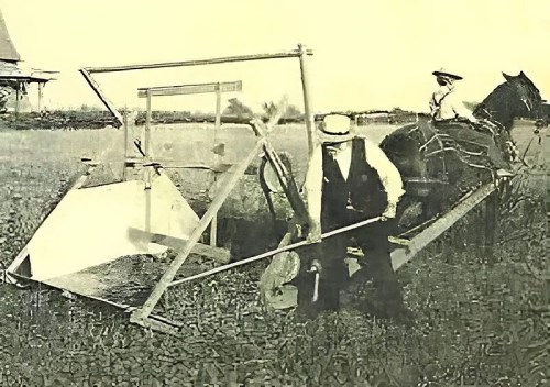 A historical image of a horse-drawn agricultural machine with a farmer operating it in a field.