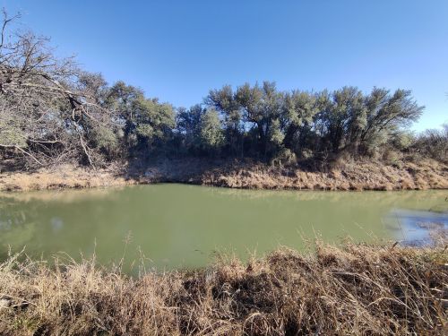A calm green river surrounded by trees and dry grass under a clear blue sky.