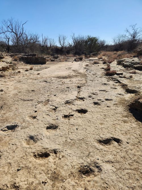 A dry, rocky landscape with visible footprints and sparse vegetation under a clear blue sky.