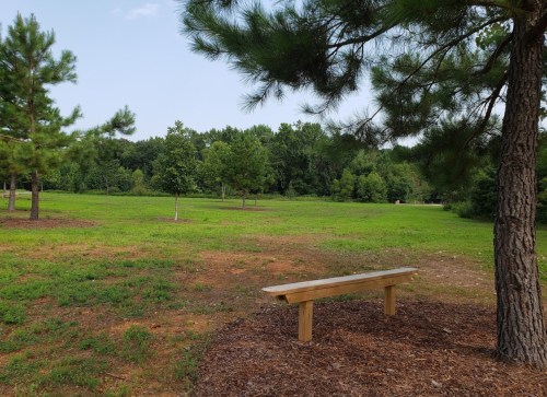A wooden bench in a grassy park surrounded by trees and a clear sky.