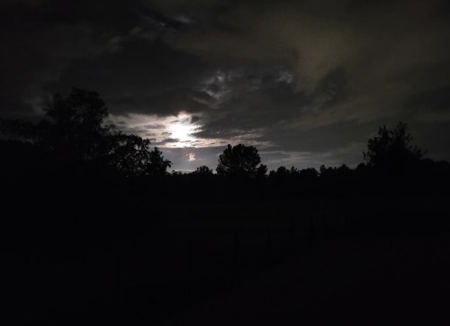 A dark landscape with silhouetted trees under a cloudy night sky, illuminated by a faint moonlight.