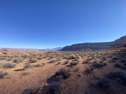 A vast desert landscape with sparse vegetation and distant mountains under a clear blue sky.