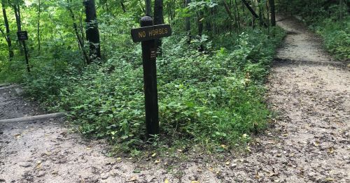 A trail sign reading "No Horses" stands at a fork in a wooded path surrounded by greenery.