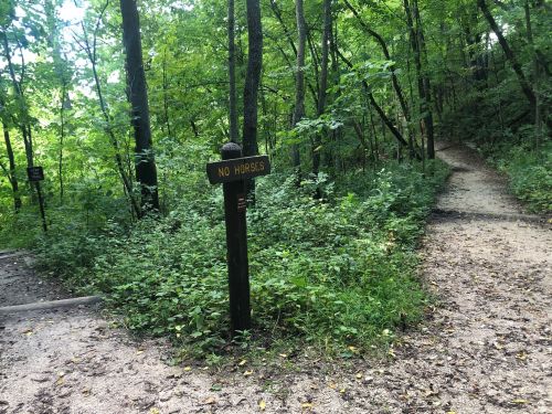 A trail sign in a wooded area reads "No Horses," with a fork in the path visible in the background.