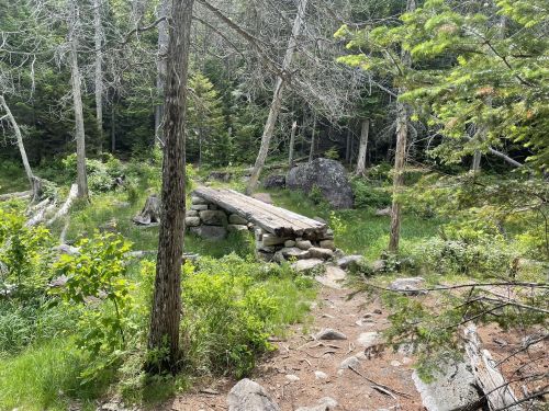 A rustic wooden bridge spans a small clearing in a lush forest, surrounded by trees and rocky terrain.