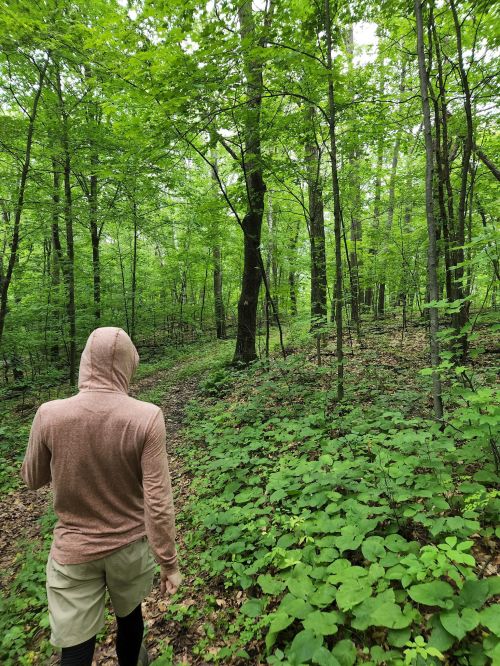 A person in a hoodie walks along a trail through a lush green forest filled with trees and foliage.