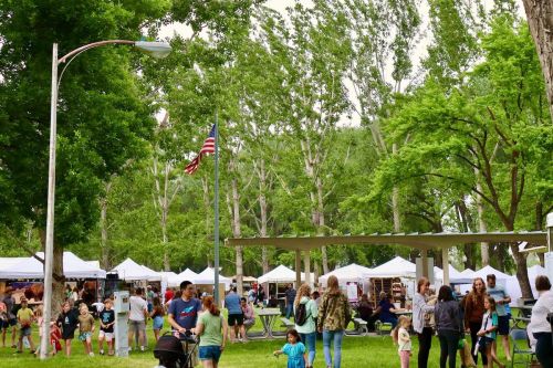 A lively outdoor market scene with people browsing stalls under trees, featuring tents and an American flag in the background.