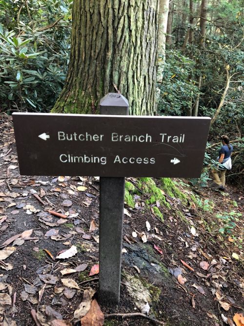 Signpost for Butcher Branch Trail and Climbing Access, surrounded by trees and foliage.