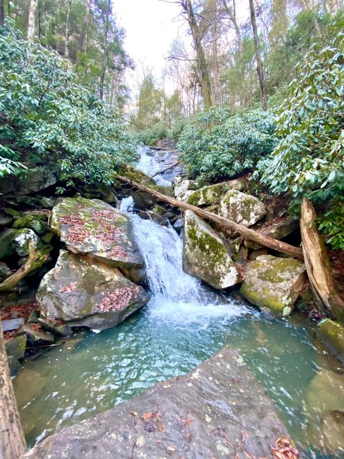 A serene waterfall cascades over rocks, surrounded by lush greenery and trees in a tranquil forest setting.