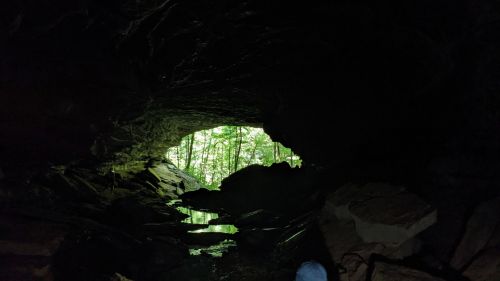 A dark cave opening reveals a view of green trees and water reflecting light from outside.