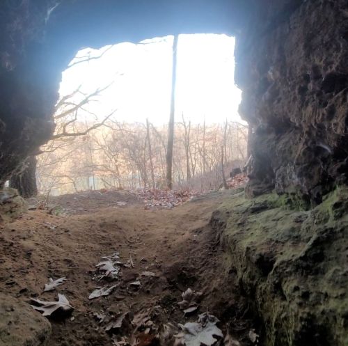 View from a rocky cave opening, showing a forested landscape with bare trees and fallen leaves.