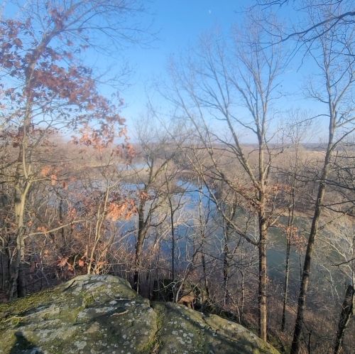 A scenic view of a river surrounded by bare trees and rocky terrain under a clear blue sky.