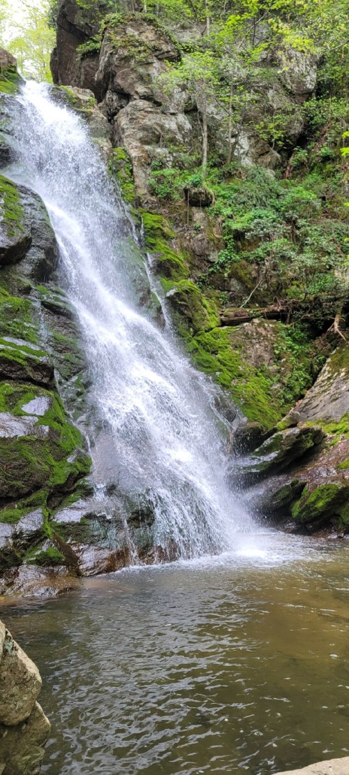 A serene waterfall cascades over moss-covered rocks into a calm pool, surrounded by lush greenery.