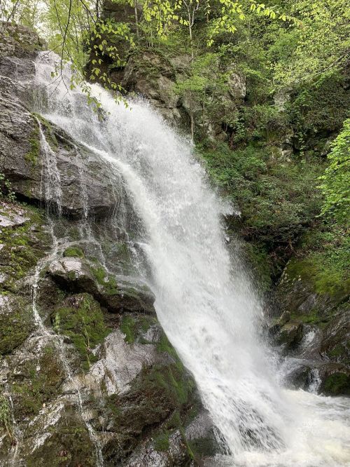 A cascading waterfall flows over rocky terrain, surrounded by lush green foliage and trees.