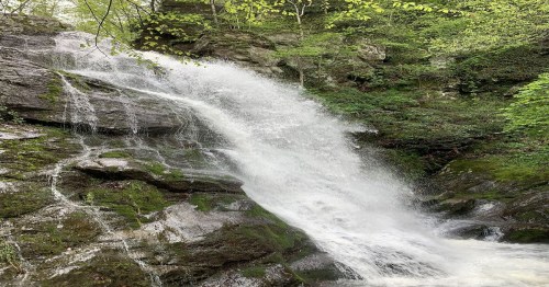 A cascading waterfall flows over moss-covered rocks, surrounded by lush green foliage.
