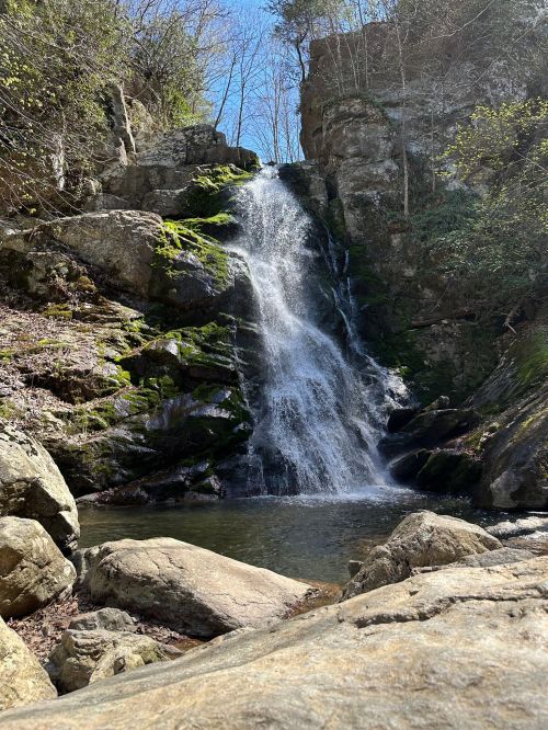A serene waterfall cascades over moss-covered rocks into a clear pool, surrounded by trees and rocky terrain.