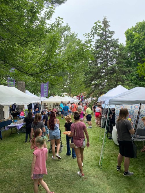 A bustling outdoor market scene with people walking among vendor tents and trees in a green park setting.
