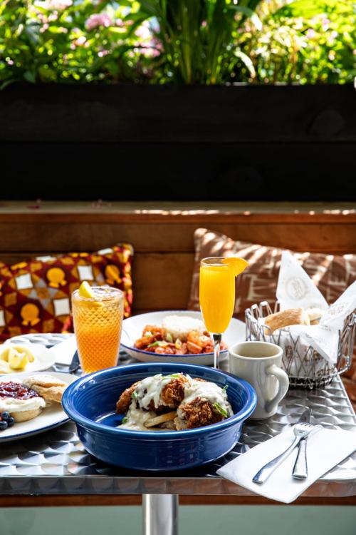 A vibrant brunch spread featuring fried chicken, biscuits, fruit, and drinks on a sunny outdoor table.